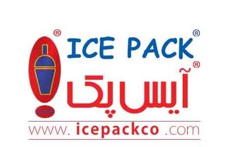 بیوگرافی بابک بختیاری بنیانگذار آیس پک