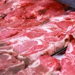 طرح تولید و یا واردات گوشت مغولی