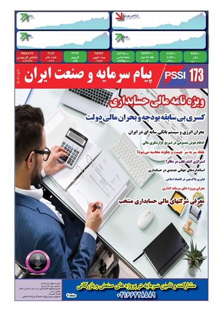 ویژه نامه موسسات مالی حسابداری